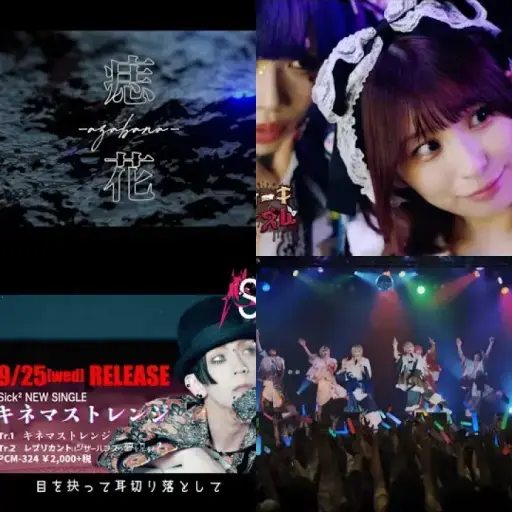 Visual Kei   v36