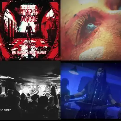 Thrash Metal    v39