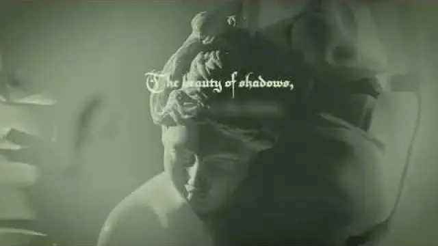 The Beauty of Shadows