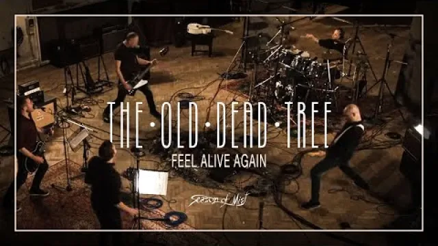 Feel Alive Again