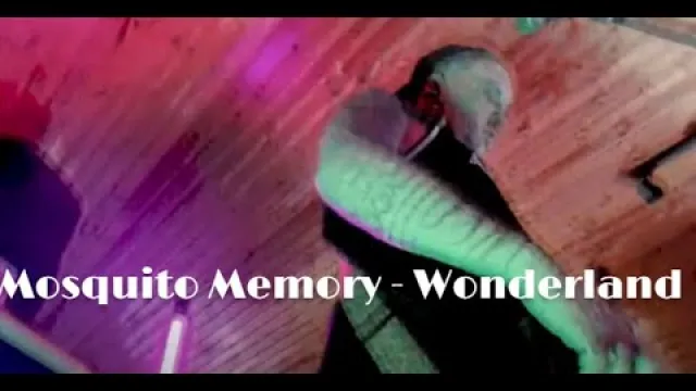 Wonderland