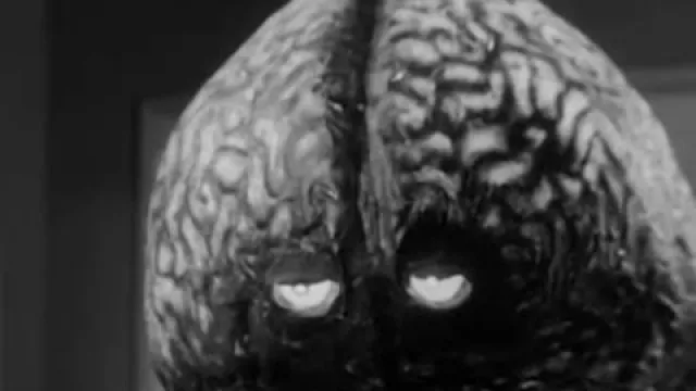 Wet Brain