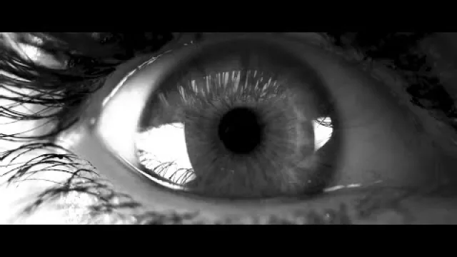 Black Matter Manifesto