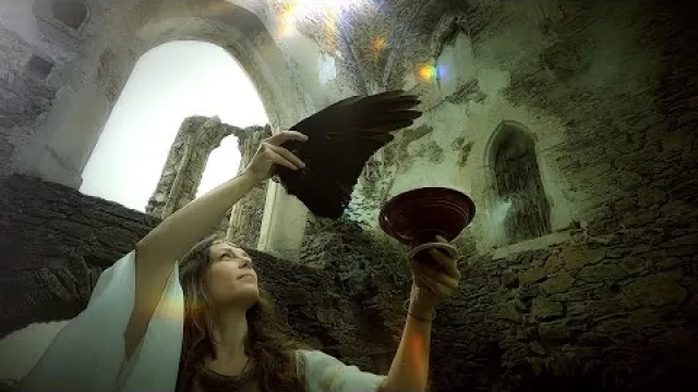 Where The Wild Things Are