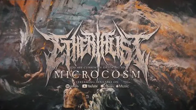 MICROCOSM