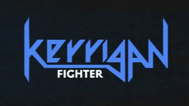 Fighter