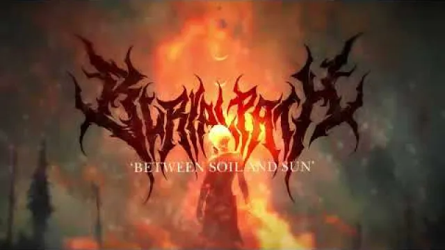 Between Soil and Sun