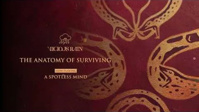 VICIOUS RAIN - A Spotless Mind