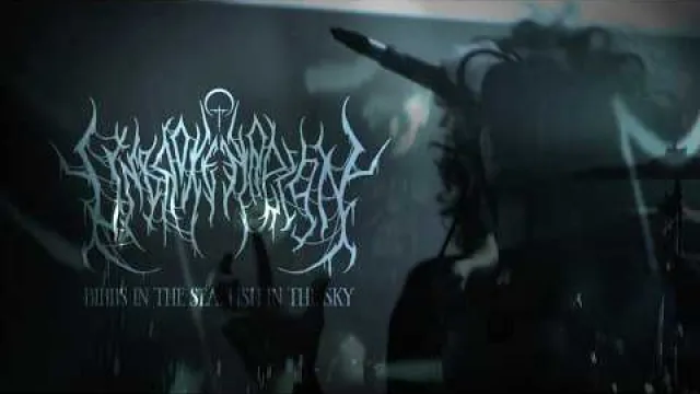 Birds in the Sea, Fish in the Sky