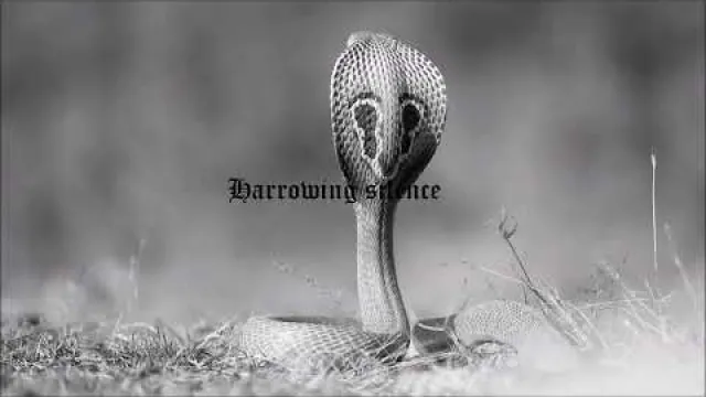 laCasta - Harrowing Silence