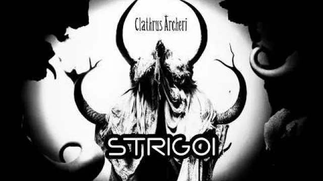 Strigoi