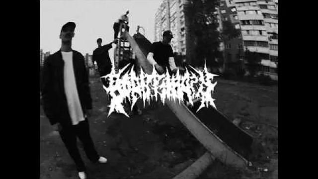 BOANTHROPY - SANITY CHECK