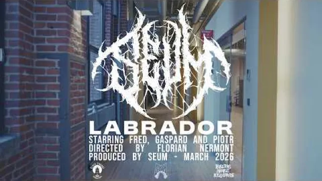 Labrador