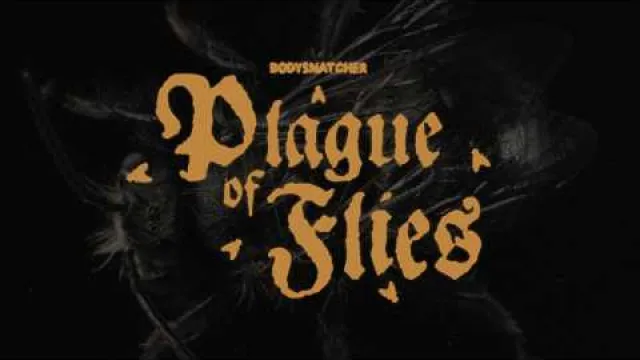 Plague of Flies