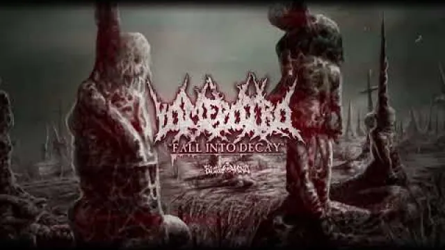 VOMEPOTRO - Fall Into Decay