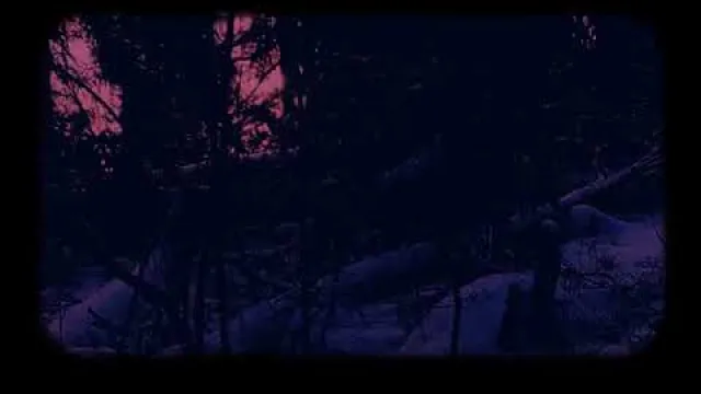 Hexvessel - Horse Tears