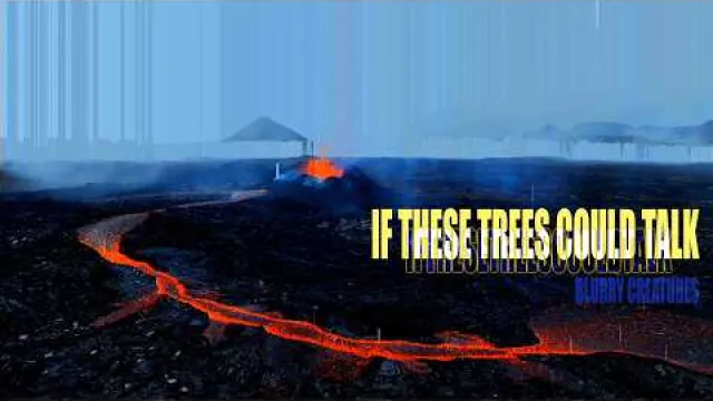 If These Trees Could Talk - Blurry Creatures