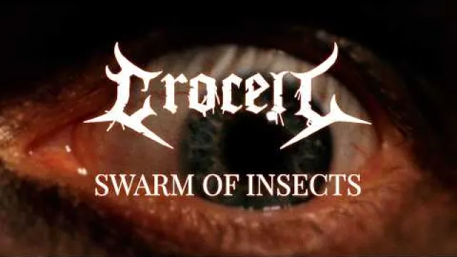 CROCELL - Swarm Of Insects