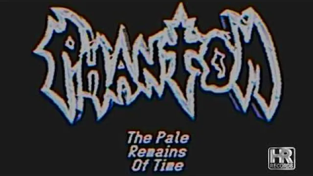 The Pale Remains of Time
