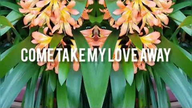 Delfoi Road - Take Me Away