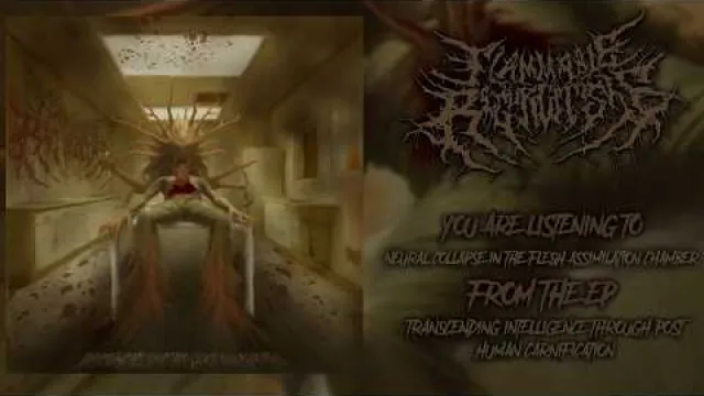 FLAMMABLE REGURGITOSIS - TRANSCENDING INTELLIGENCE THROUGH POST HUMAN CARNIFICATION