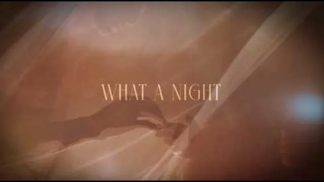 Robin Beck - What A Night