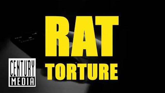 Rat Torture
