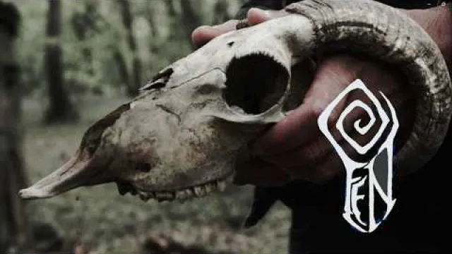 Fen - Tectonic