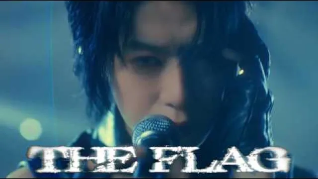 SHIN - THE FLAG