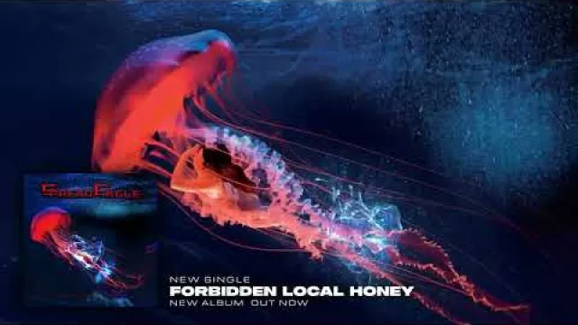 Forbidden Local Honey