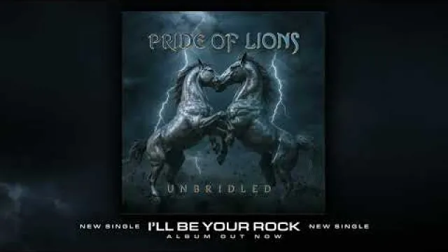 I'll Be Your Rock