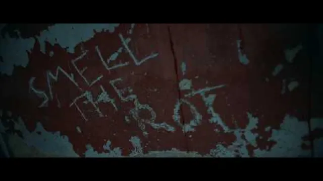 Perpetual Paradox - Smell the Rot