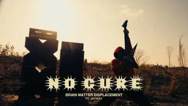 No Cure - Brain Matter Displacement