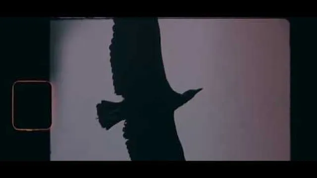 DUBOIS - Tappinzon