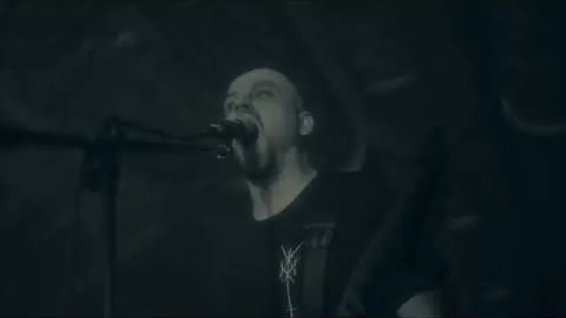 SVNTARER - Feed The Earth With Bodies