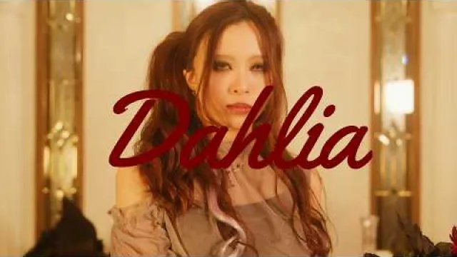 Ark Royal - Dahlia-Illumina
