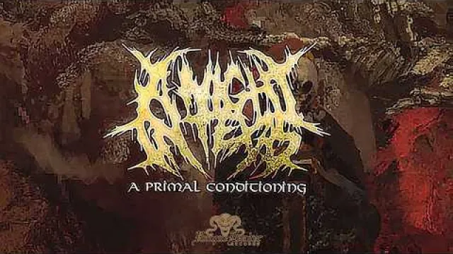 A Night in Texas - A Primal Conditioning