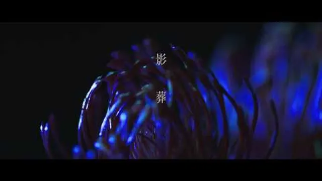 Dokubari - 「影葬」毒針