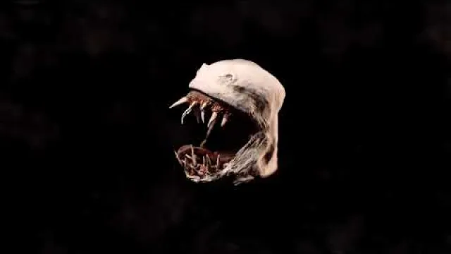 BLACKTOOTHED - WILL YOU SURVIVE WHEN I DEVOUR YOUR HEARTBEAT