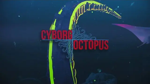 Cyborg Octopus
