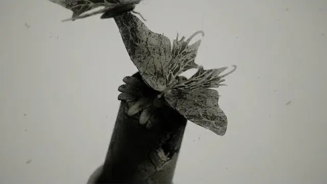 An Ocean Of Strange Islands