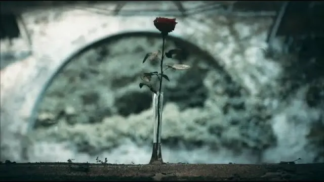 The Tears Rain On Tomb Of Love