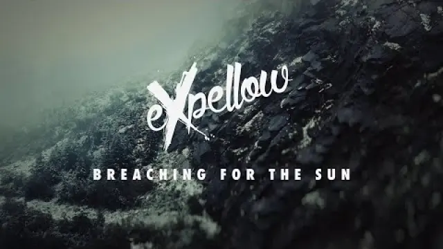 Breaching For The Sun