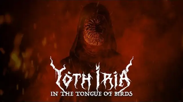 In The Tongue Of Birds