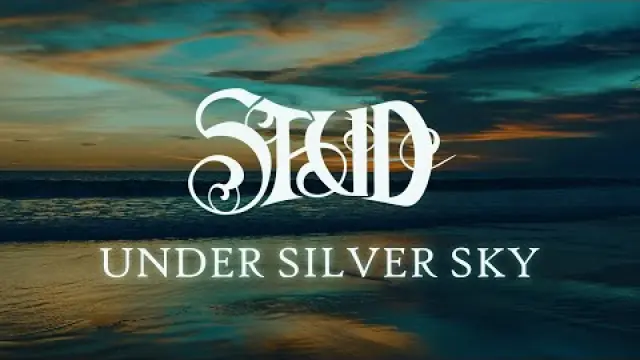 Under Silver Sky