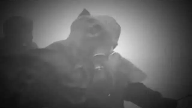 Der letzten Sonne Untergang