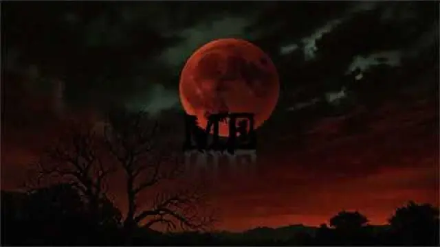 Without You I Am Nothing