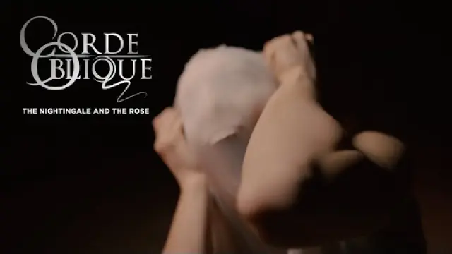 The Nightingale and the Rose