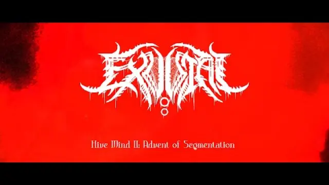 Hive Mind II: Advent of Segmentation