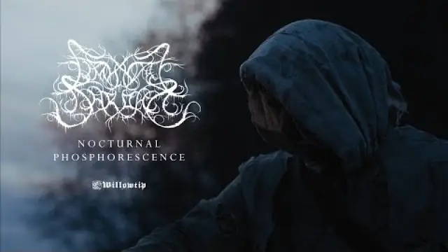 Nocturnal Phosphorescence